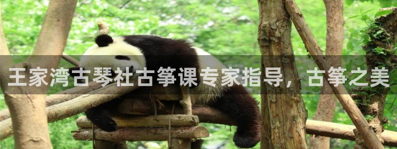 凯发k8国际真人版安全送38元